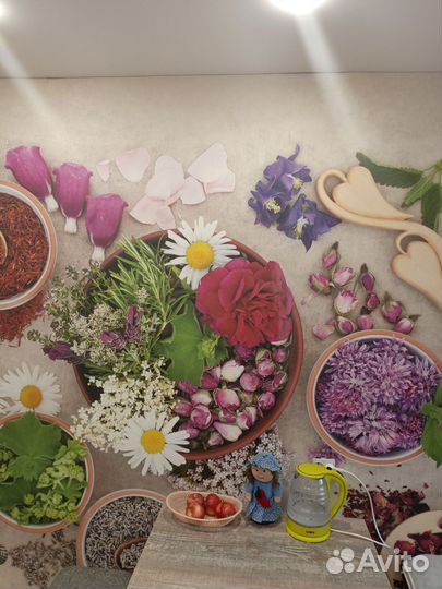 Мастер по ремонту