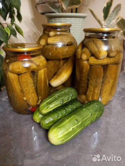 Огурцы маринованные. Домашняя консервация
