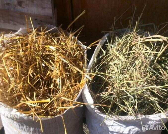 Сено Солома в тюках Комбикорма. Веники в Баню