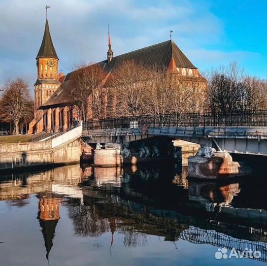 Калининград, экскурсионный тур на 7 дней