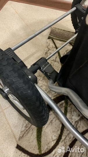 Коляска 2в1 баронесса