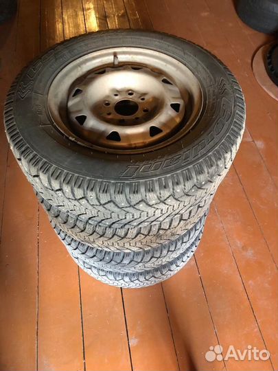 Cordiant Polar 175/70 R13