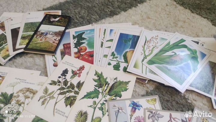 Наборы открыток СССР