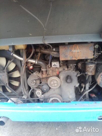 Городской автобус ЛиАЗ 5293, 2013