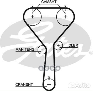Ремень грм (154 зуб.,22mm) KIA Clarus/Sephia 1.8