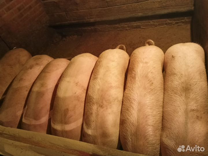 Продукты питания