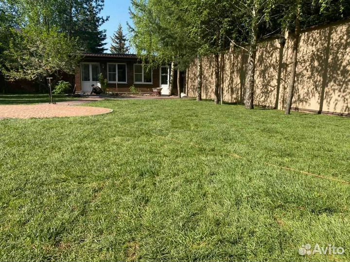 Укладка рулонного газона