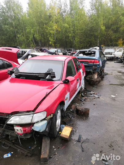 Opel vectra б(разбор) дизель