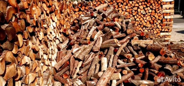 Кора березы