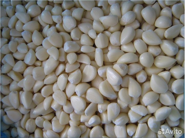 Продам домашний чеснок