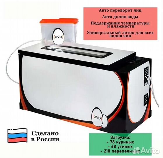 Выведу в своем инкубаторе цыплят