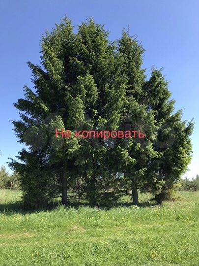 Участок 18 сот. (СНТ, ДНП)