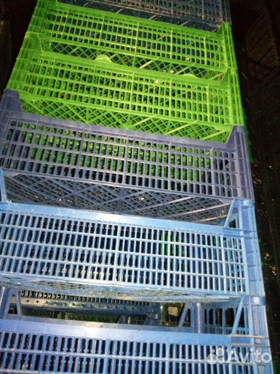 Пластиковые ящики для овощей и фруктов