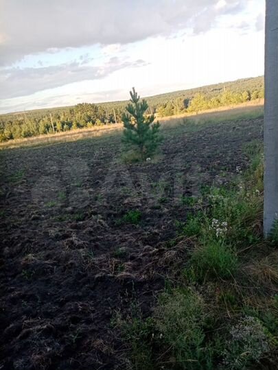 Участок 9 сот. (СНТ, ДНП)