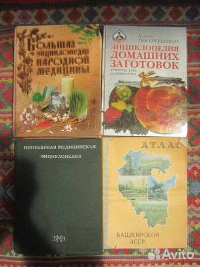 Черепашки-ниндзя против зловещего Духа мертвецов