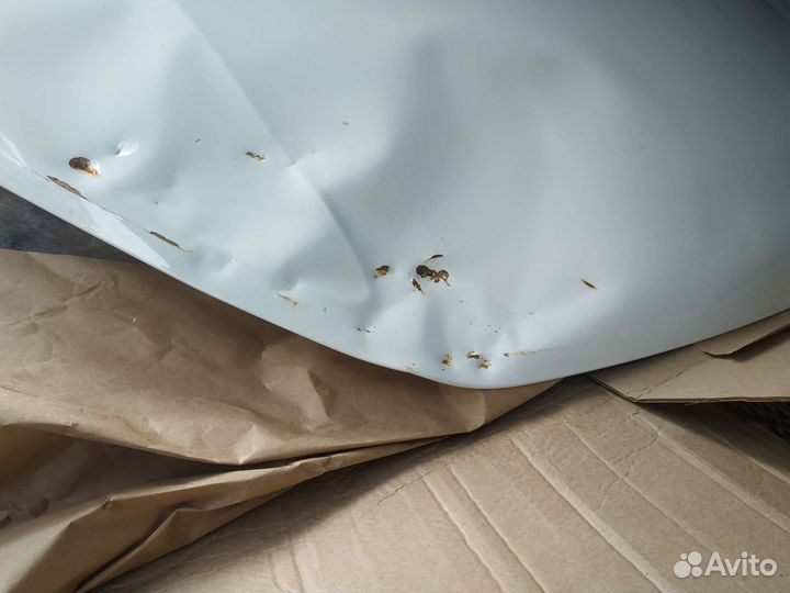 Капот на гранту фл