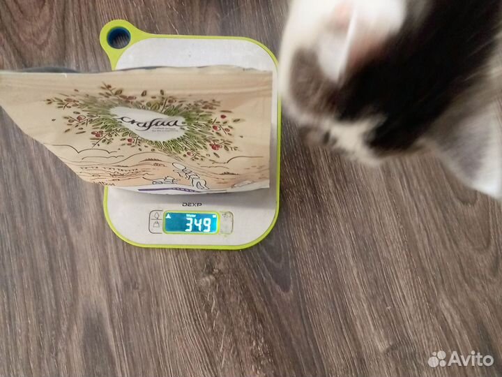 Craftia Harmona для котят. Сухой корм