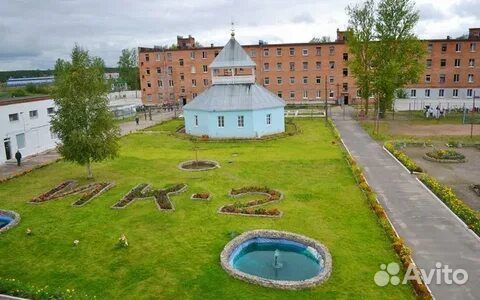 Старший психолог