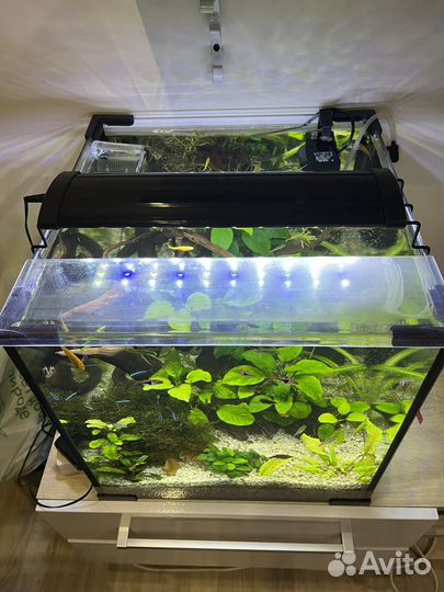 Аксессуары для аквариума