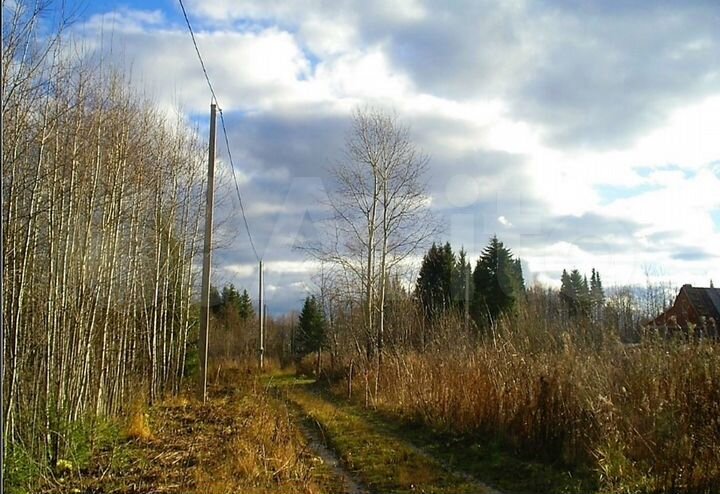 Участок 6 сот. (СНТ, ДНП)