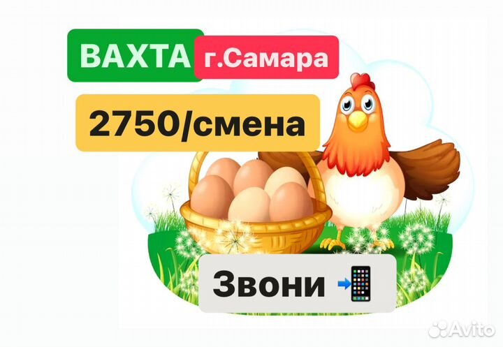 Упаковщики вахтой с питанием. самара