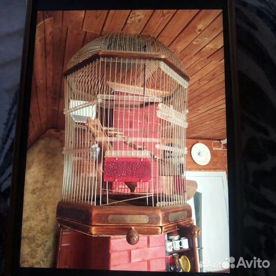 Старинная клетка для крупных птиц или животных
