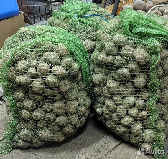 Картофель мелкий