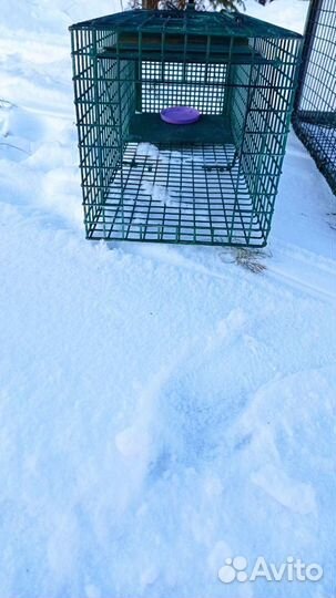 Сдам в аренду собаколовку,кошколовку