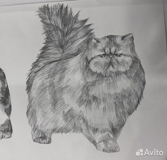 Портрет животных по фото