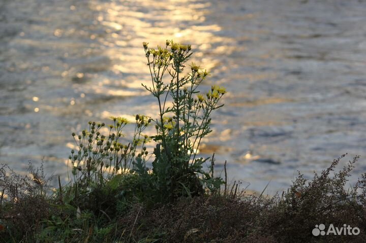 Отдых на оз. Арахлей