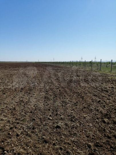 Участок 6,62 га (СНТ, ДНП)