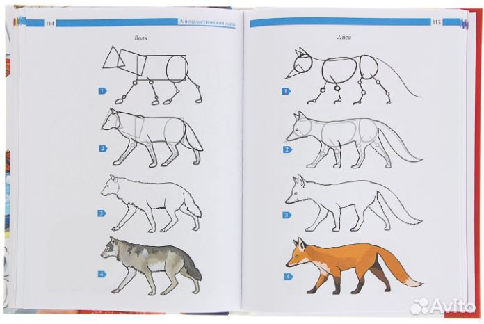 Полный самоучитель рисования