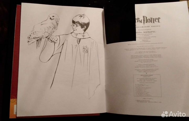 Раскраски Гарри Поттер