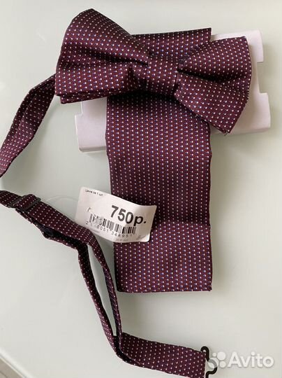 Бабочка мужская