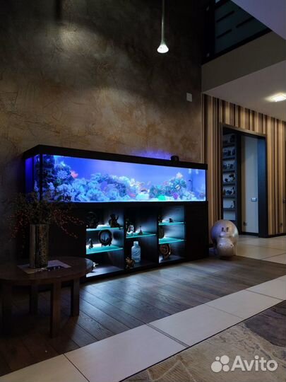 Изготовление и чистка аквариумов