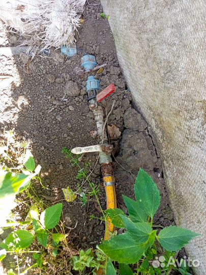 Промышленная теплица