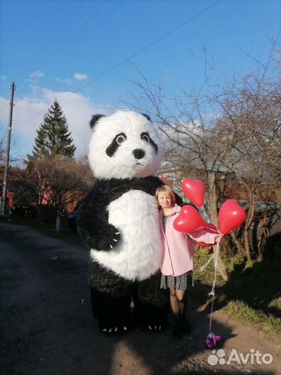 Мишка на праздник мишка теди панда