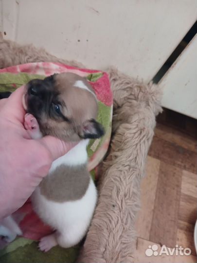 Бронирование