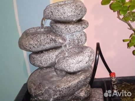 Бонсай сегереция чайная с водопадом