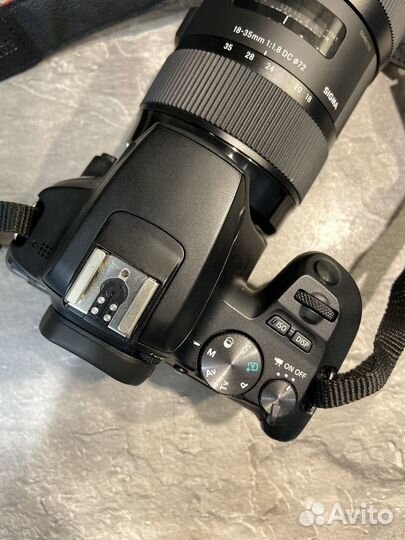 Зеркальный фотоаппарат canon 250d