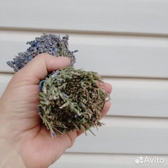 Букет лаванды