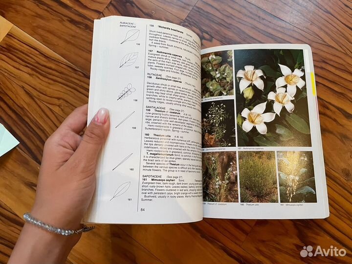 Книга Wild flowers