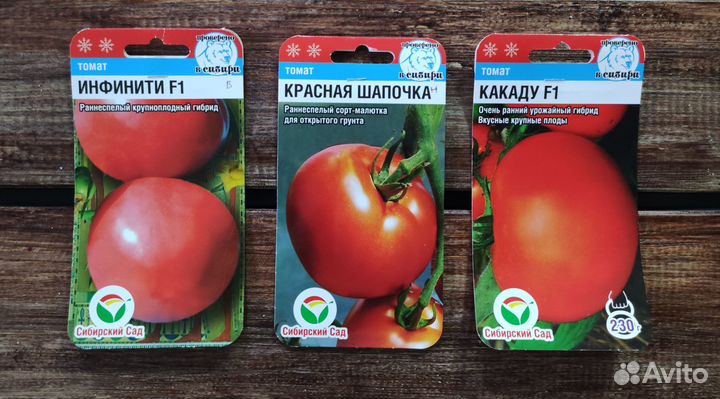 Семена Томатов №8