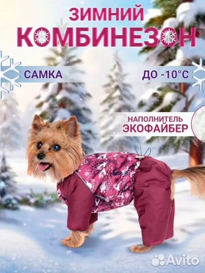 Зимний комбинезон