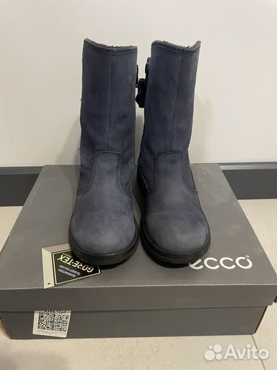 Сапоги демисезонные Ecco