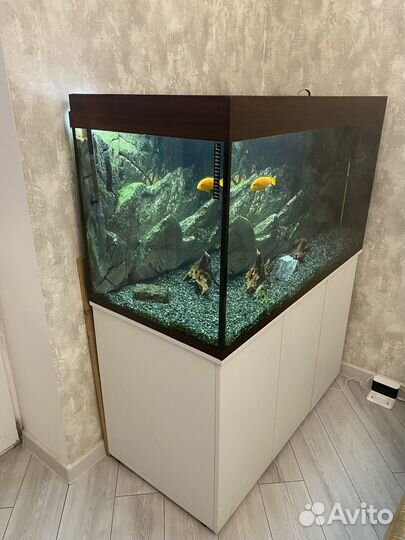 Аквариум на 500 литров