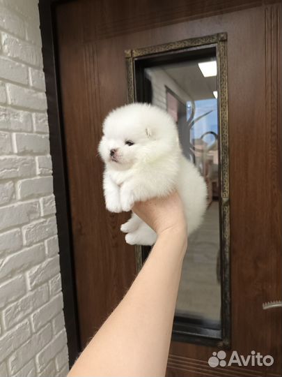 Мальчик пом