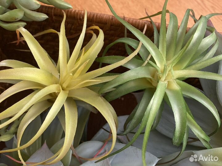 Цветы декор для интерьера