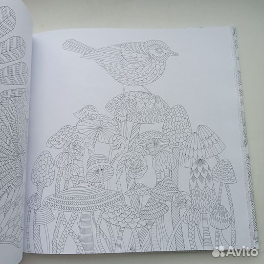 Раскраска антистресс
