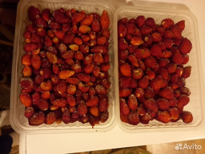 Земляника замороженая урожай 2023года